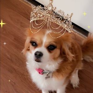 Meet your Posher, Elizabeth